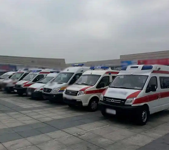 温泉县服务车队展示